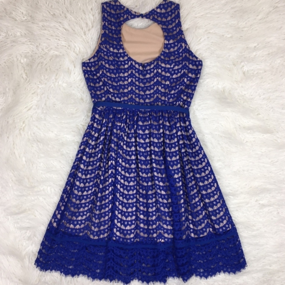 Eliza J Blue Lace Cobolt Blue Fit Flare Dress 14 - Picture 6 of 14